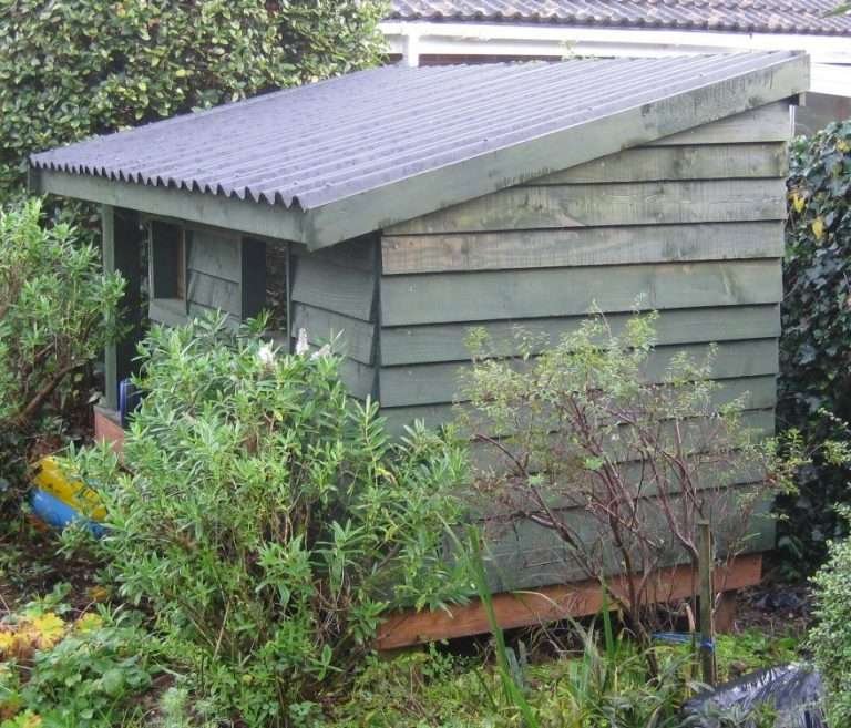 Best Roofing for Chicken Coops in 2023 (Updated August 2023) My