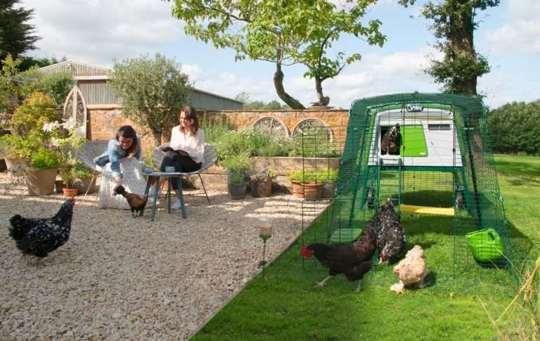 Chicken Coop - Poultry Habitat - Omlet