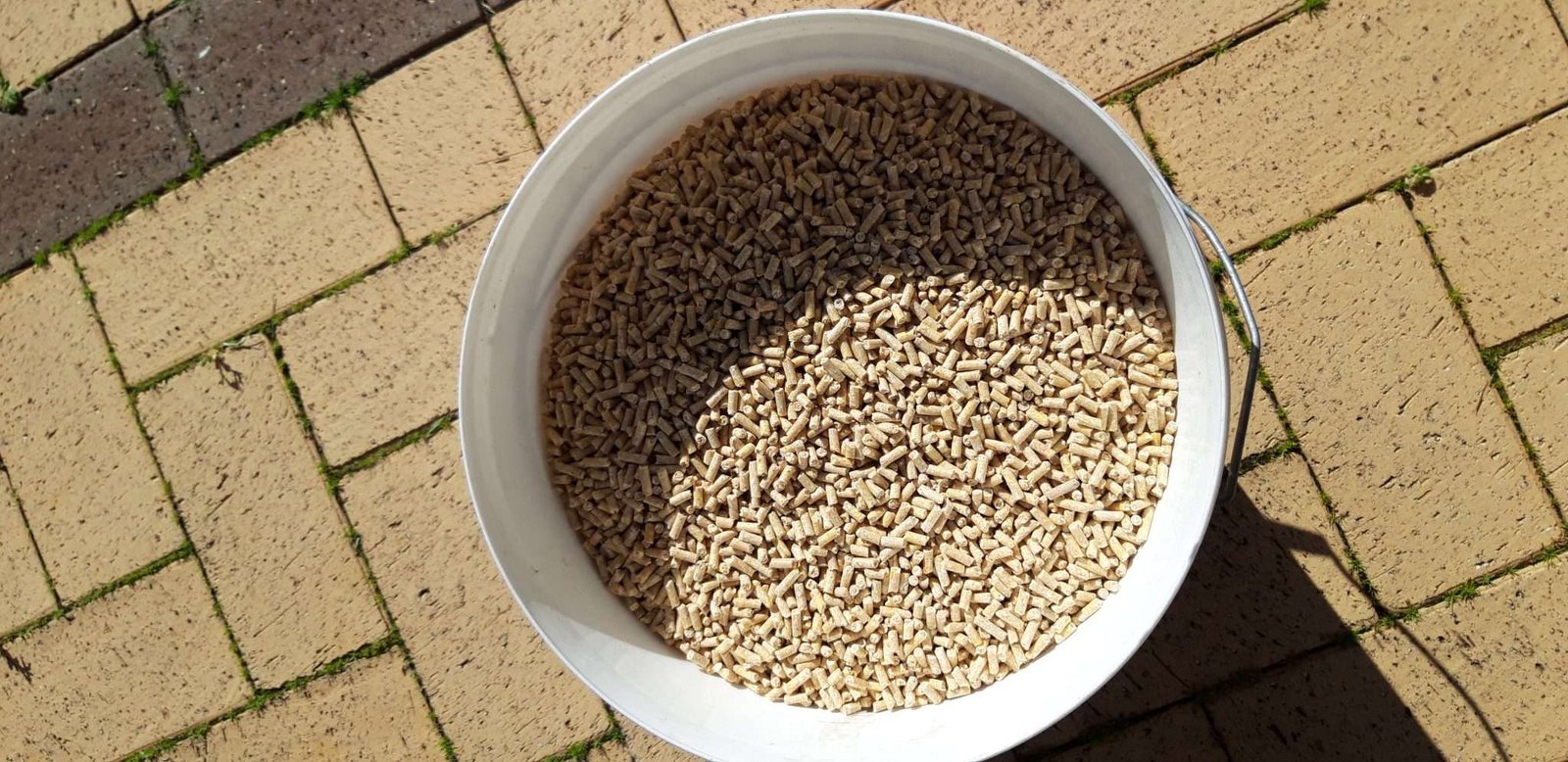 Best Way to Store Chicken Feed in 2023 Updated October 2023 My